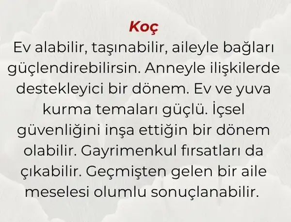 hüp yengeç564 (1).webp