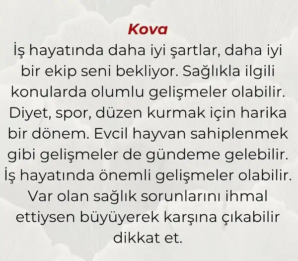 hüp yengeç564 (11).webp