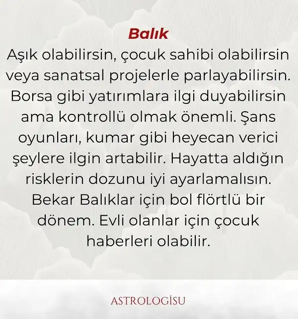 hüp yengeç564 (12).webp