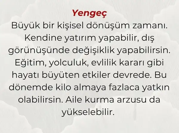 hüp yengeç564 (4).webp
