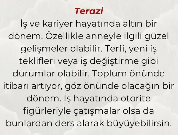 hüp yengeç564 (7).webp