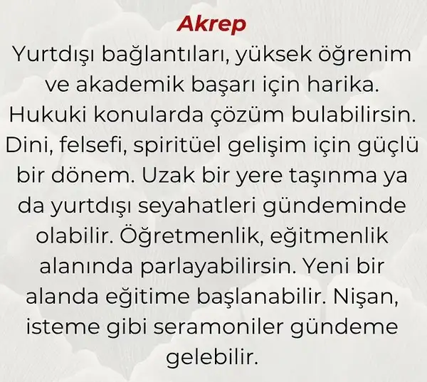 hüp yengeç564 (8).webp