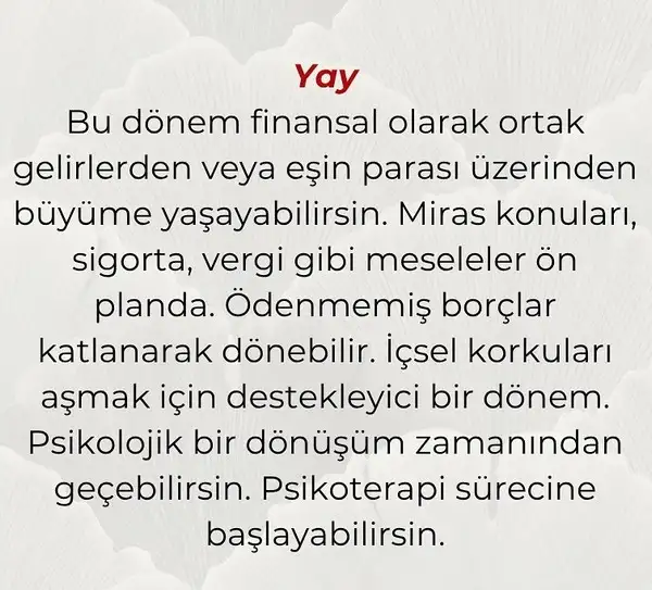hüp yengeç564 (9).webp