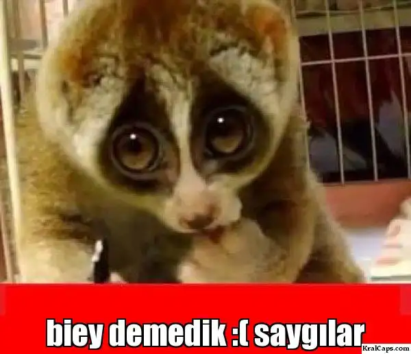i104n6.webp