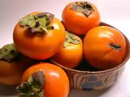 İçerik.webp