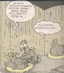 İçerik.webp