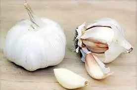 içerik.webp