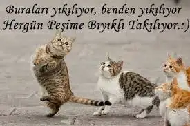 içerik.webp