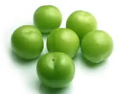içerik.webp