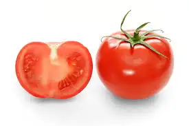 içerik.webp