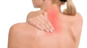 içerik.webp