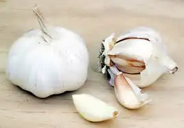 içerik.webp
