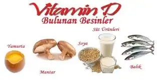 içerik.webp
