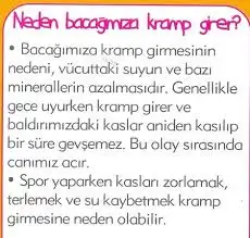 içerik.webp