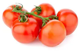 içerik.webp