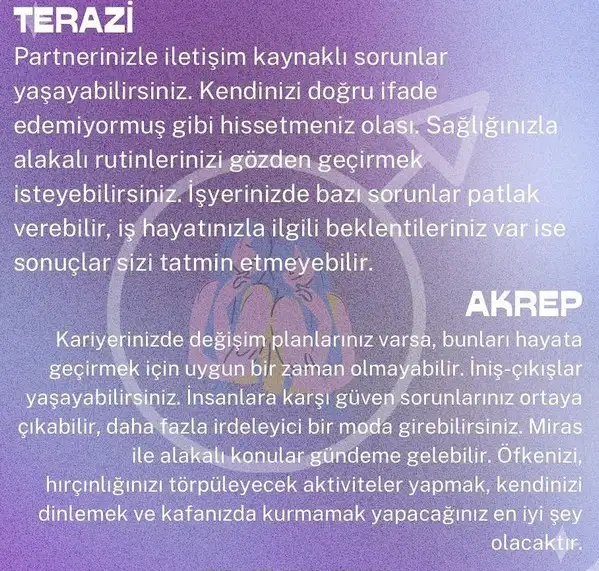 ik11 (5).webp