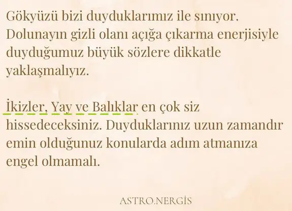 ik12 (2).webp