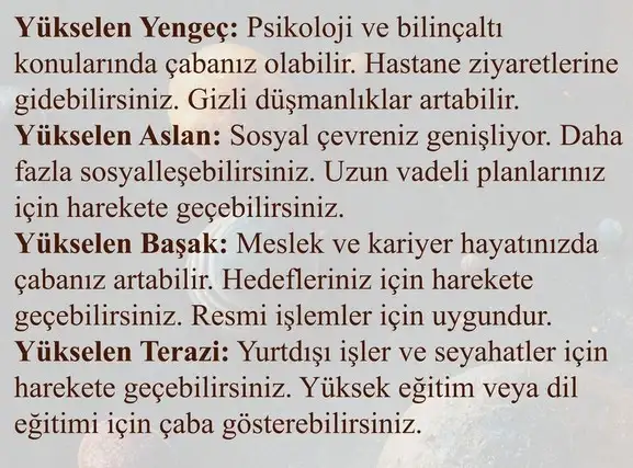 ik13 (3).webp