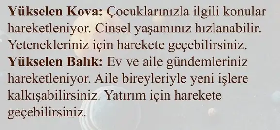 ik13 (5).webp