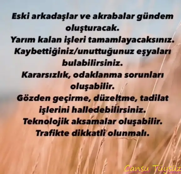 ik15.webp