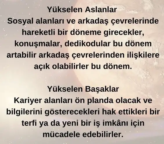 ik18 (4).webp