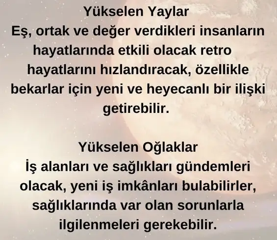 ik18 (6).webp