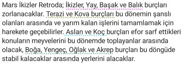 ik19 (2).webp