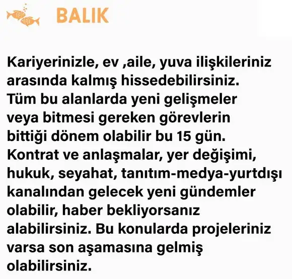 ik2 (13).webp