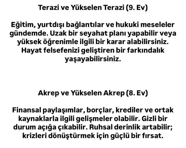ik2 (5).webp