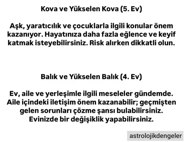 ik2 (7).webp