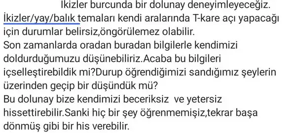 ik21 (2) - Kopya - Kopya.webp