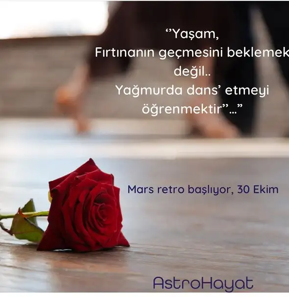 ik22 (1).webp