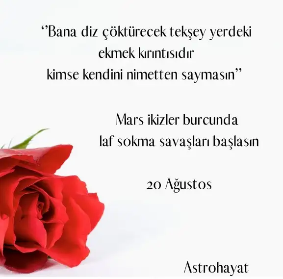 ik26 (1).webp