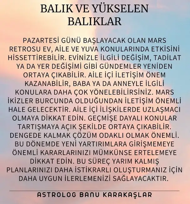 ik26 (13).webp
