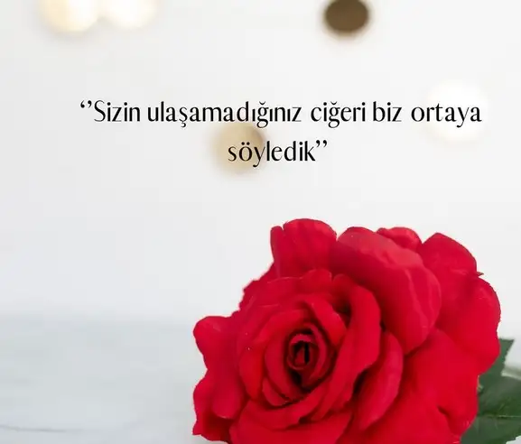 ik26 (3).webp