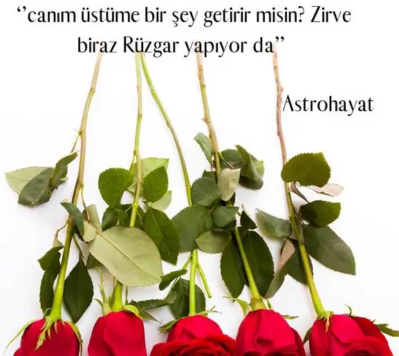ik26 (5).webp