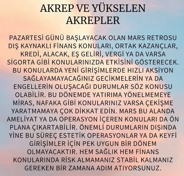 ik26 (9).webp