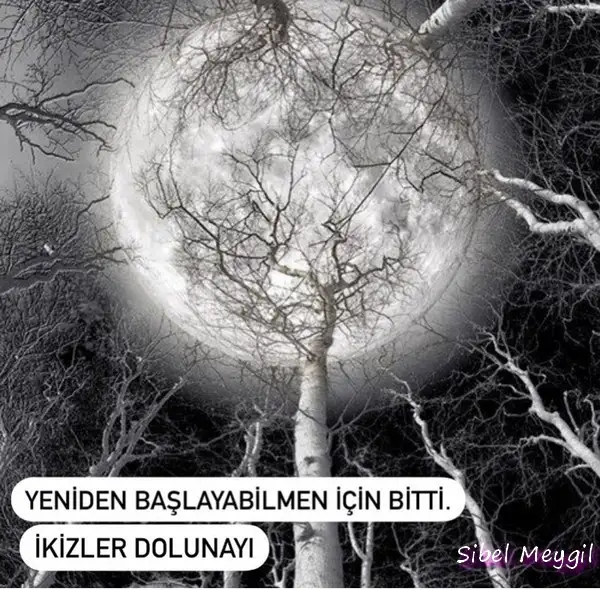 ik27 (1).webp