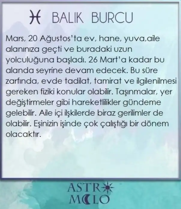 ik29 (12).webp