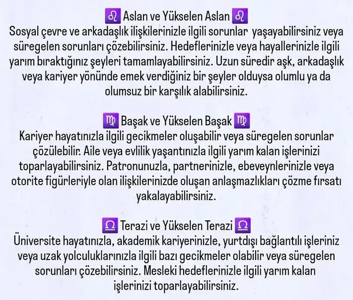 ik29 (3).webp