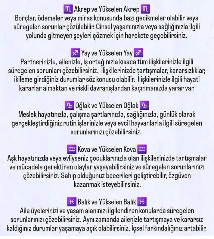 ik29 (5).webp