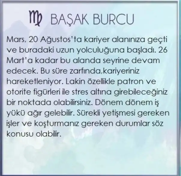 ik29 (6).webp