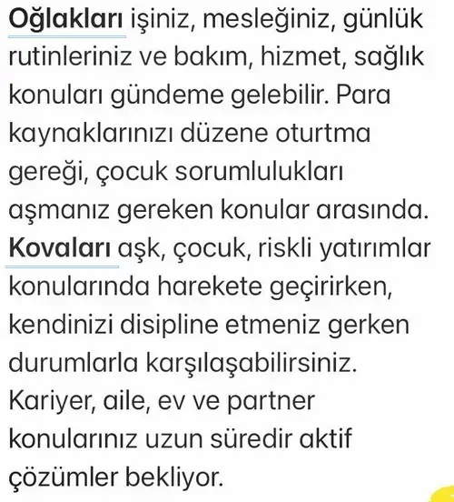 ik3 (4).webp