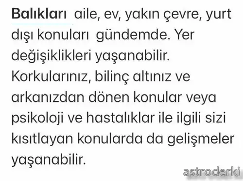 ik3 (5).webp