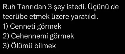 ik3 (7).webp