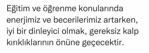ik31 (2).webp