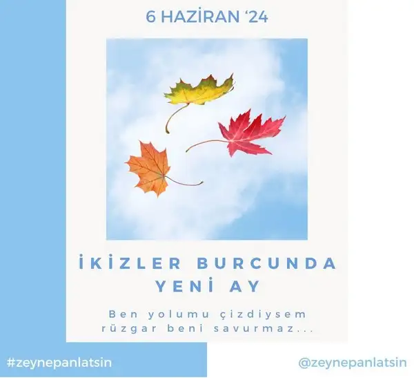 ik321 (1).webp