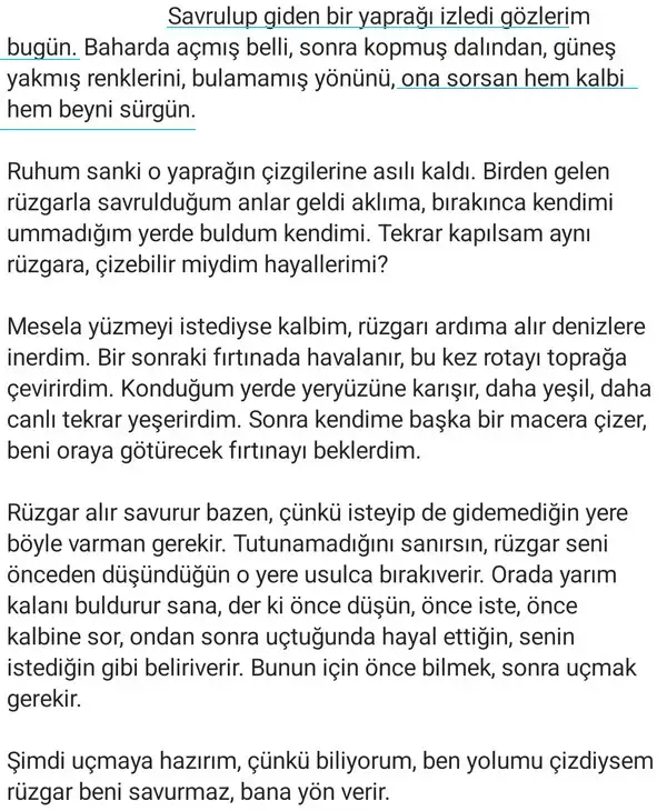 ik321 (2).webp