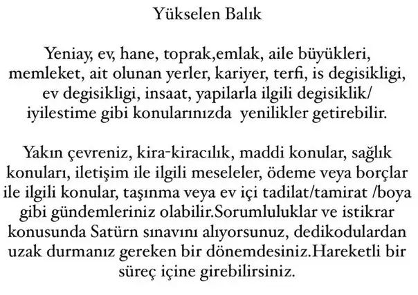 ik4 (13).webp