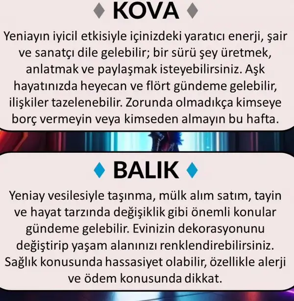 ik4 (7).webp